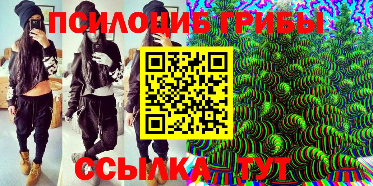 Псилоцибиновые грибы Psilocybine cubensis Саяногорск